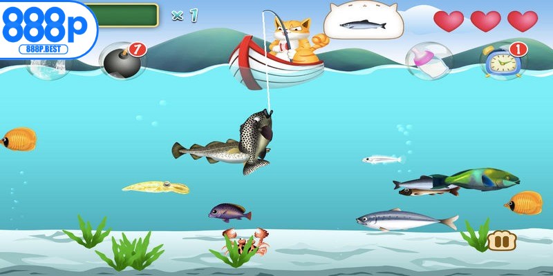 Bậc thầy câu cá sở hữu kỹ năng quan sát nhanh nhạy, siêu việt