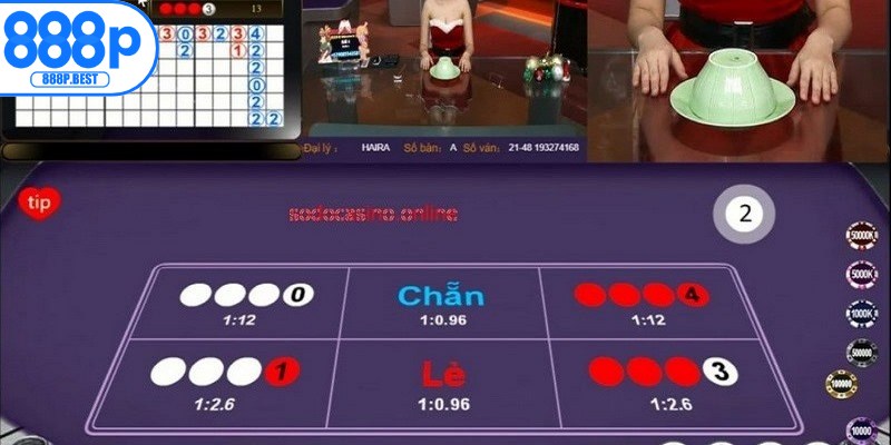 Các bước quan trọng trong cách bắt cầu xóc đĩa hiệu quả