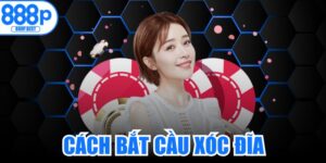 Cách Bắt Cầu Xóc Đĩa