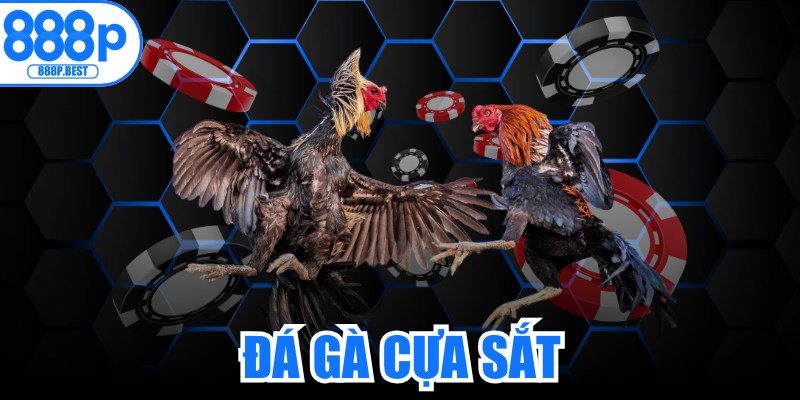 Đá Gà Cựa Sắt