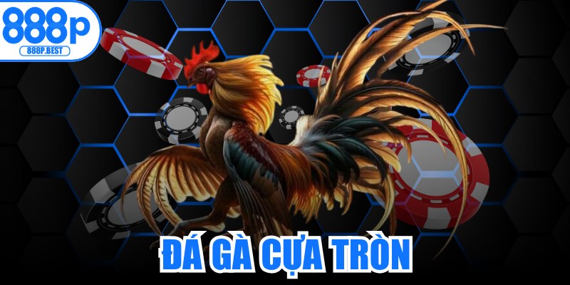 Đá Gà Cựa Tròn