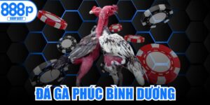 Đá Gà Phúc Bình Dương