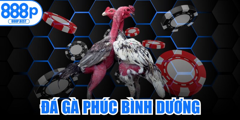 Đá Gà Phúc Bình Dương