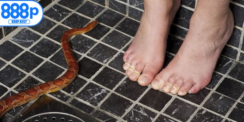 Giấc mơ thấy rắn cắn chân mang thông điệp liên quan cảm xúc cá nhân