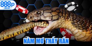 Nằm Mơ Thấy Rắn
