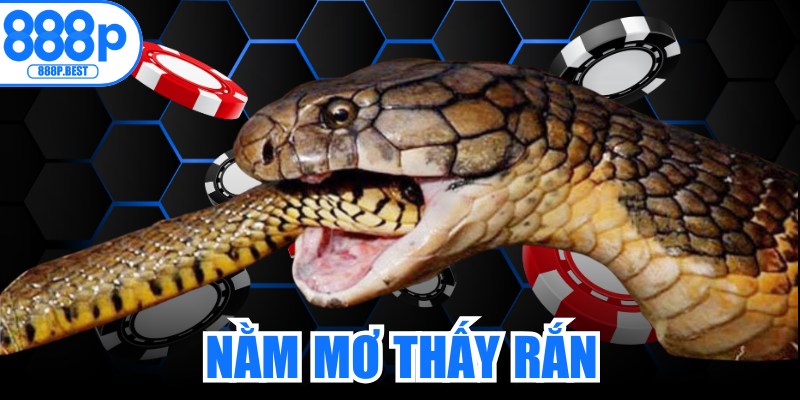 Nằm Mơ Thấy Rắn