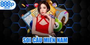 Soi Cầu Miền Nam