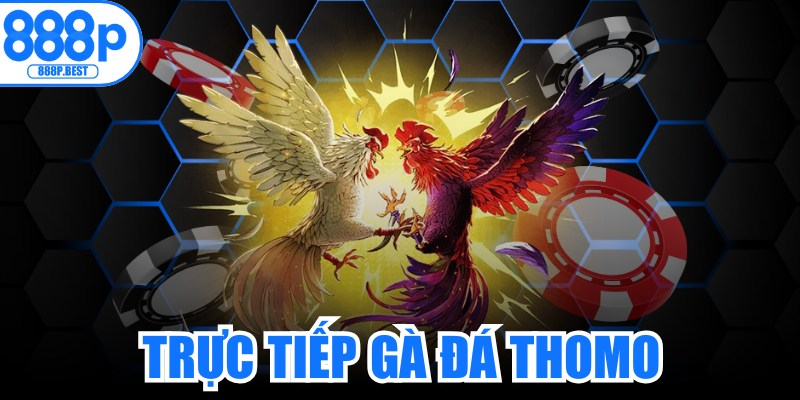 Trực Tiếp Gà Đá Thomo